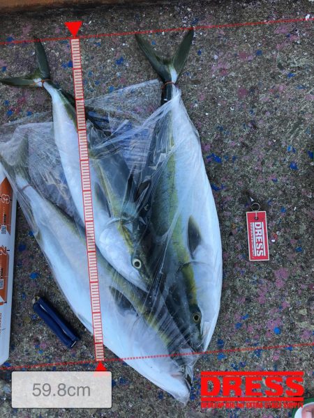 9月3日明石海峡ジギングでハマチ狙い