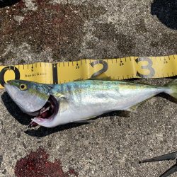 天気は晴天！釣果は曇天！？