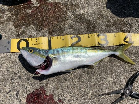 天気は晴天！釣果は曇天！？