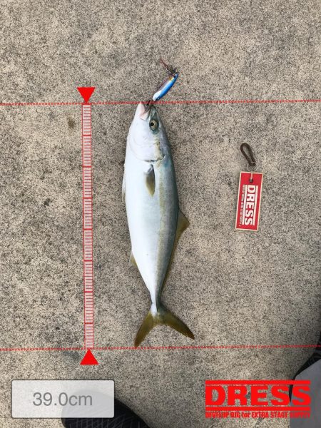 9月27日神戸ランガン