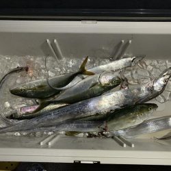 運動会終わりに