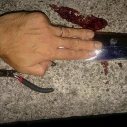 今期初タチウオ