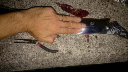 今期初タチウオ