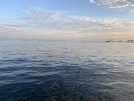 タチウオいてます