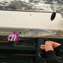 タチウオテンヤ