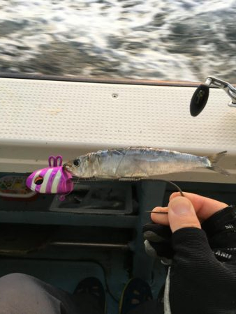 タチウオテンヤ