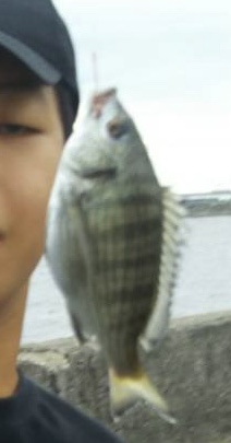 サイズは小さいが