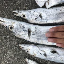 台風前に沖堤防