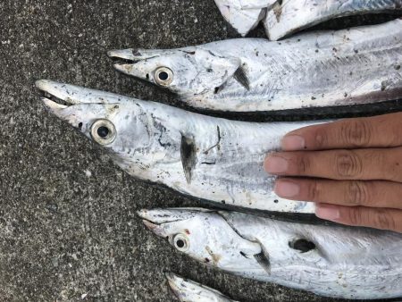 台風前に沖堤防