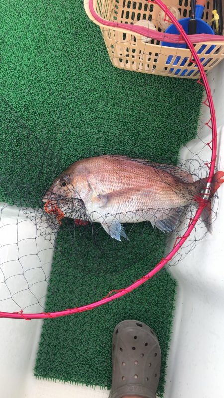 暑いのにタイラバ