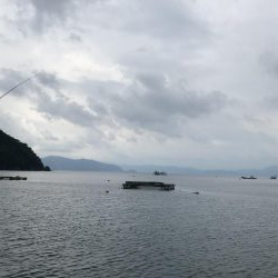 アラカブカワハギアコウアジウマズラ