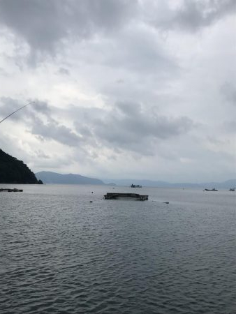 アラカブカワハギアコウアジウマズラ