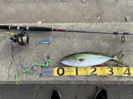 いつものハマちゃん