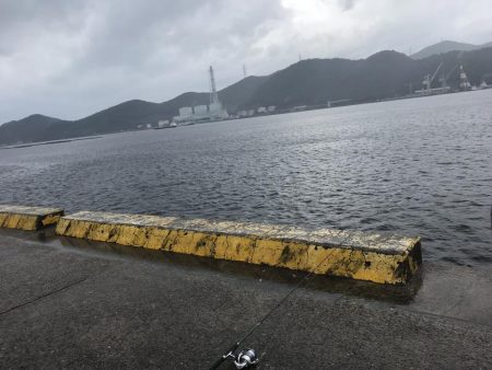 台風前