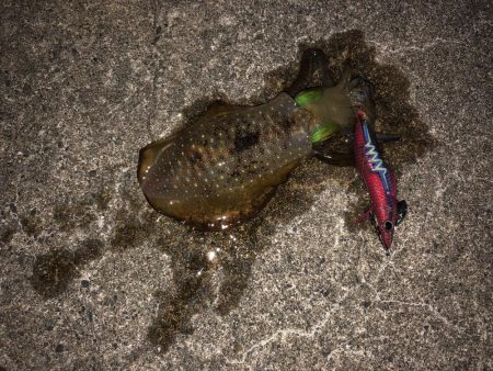 仕事帰りにサクっと