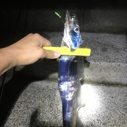 大阪市湾奥まで入ってきたー!