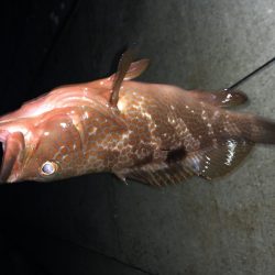 まさかの、、、