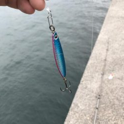 釣り人多っ‼︎