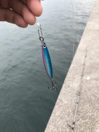 釣り人多っ‼︎