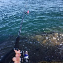 会社の仲間達とショアジギングにエギング