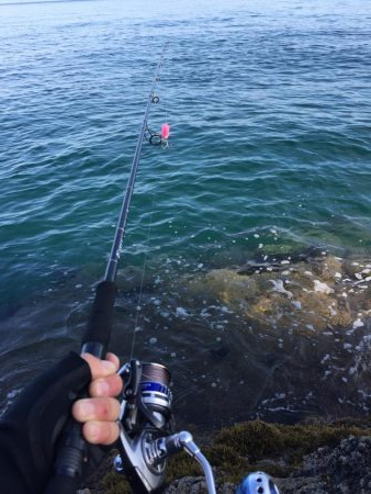 会社の仲間達とショアジギングにエギング