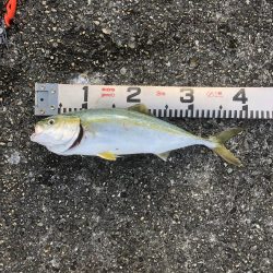 人!人!人!人‼︎‼︎