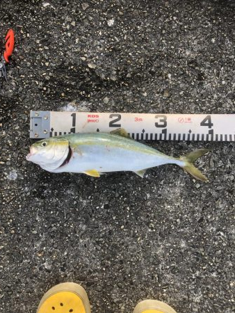 人！人！人！人‼︎ …