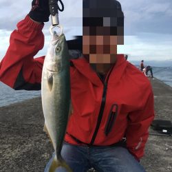 ぎりぎりハマチ！