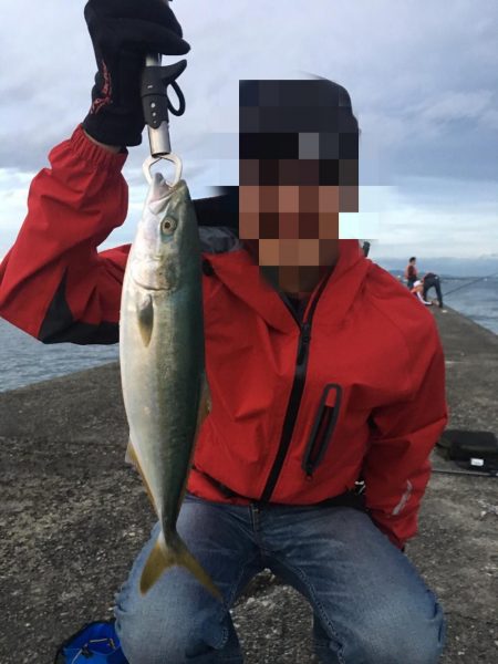 ぎりぎりハマチ！