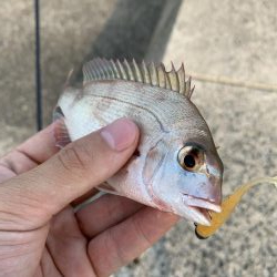 気軽にライトゲーム