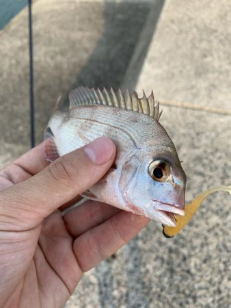 気軽にライトゲーム