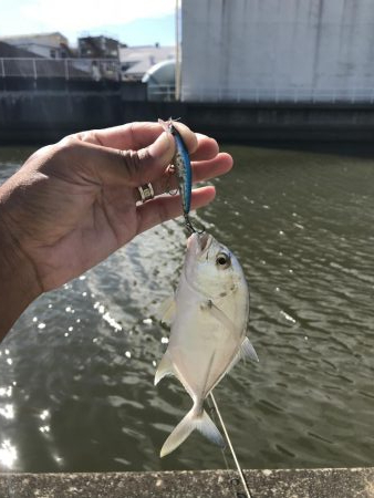 9月12日メッキゲーム