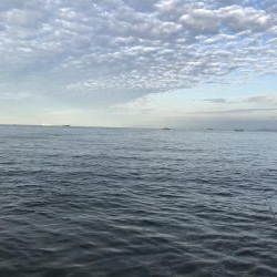 サビキも不調(°_°)