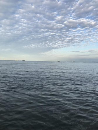 サビキも不調(°_°)