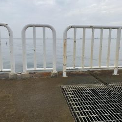 77センチメジロ！