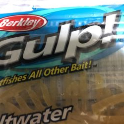 アジング 特訓 2