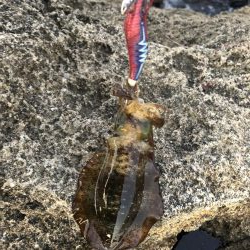 今日も仕事帰りに