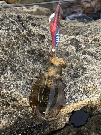 今日も仕事帰りに