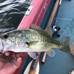 釣れると話題のディープホールへ