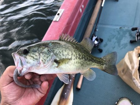 釣れると話題のディープホールへ