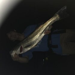 橋脚の明暗打ち