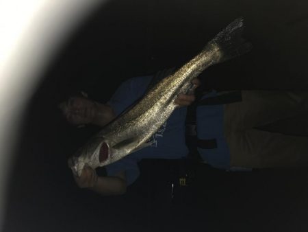 橋脚の明暗打ち