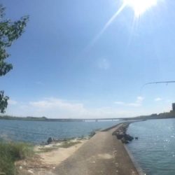 ハゼクランクデビュー!