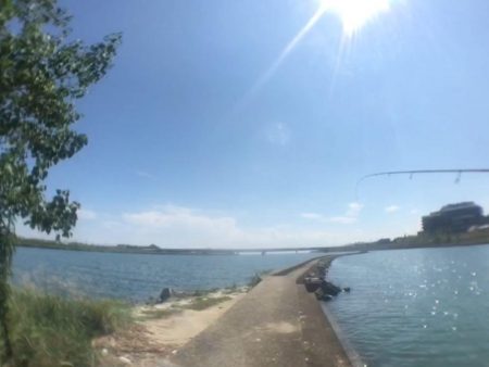 ハゼクランクデビュー!