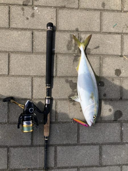 【シーサイドコスモ】好調ライトショアジギン…