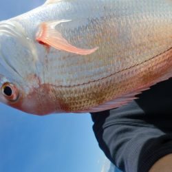 レンタルボートにて