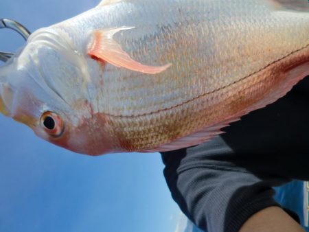 レンタルボートにて