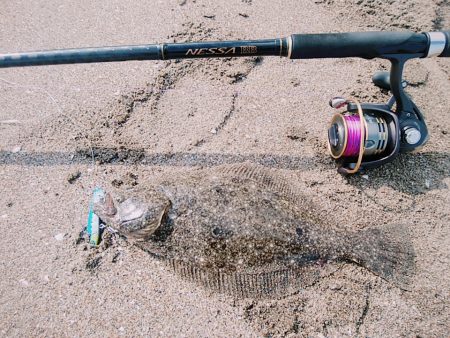 サーフでヒラメリベンジ成功!!