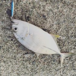 スーパーライトショアジギング