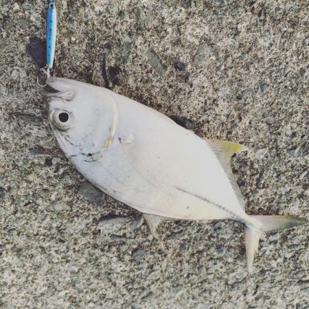 スーパーライトショアジギング